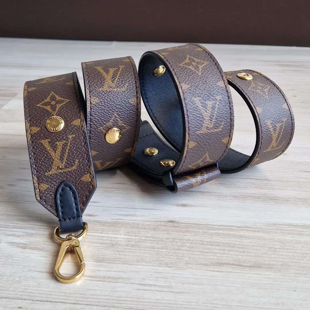 Louis Vuitton Popruh