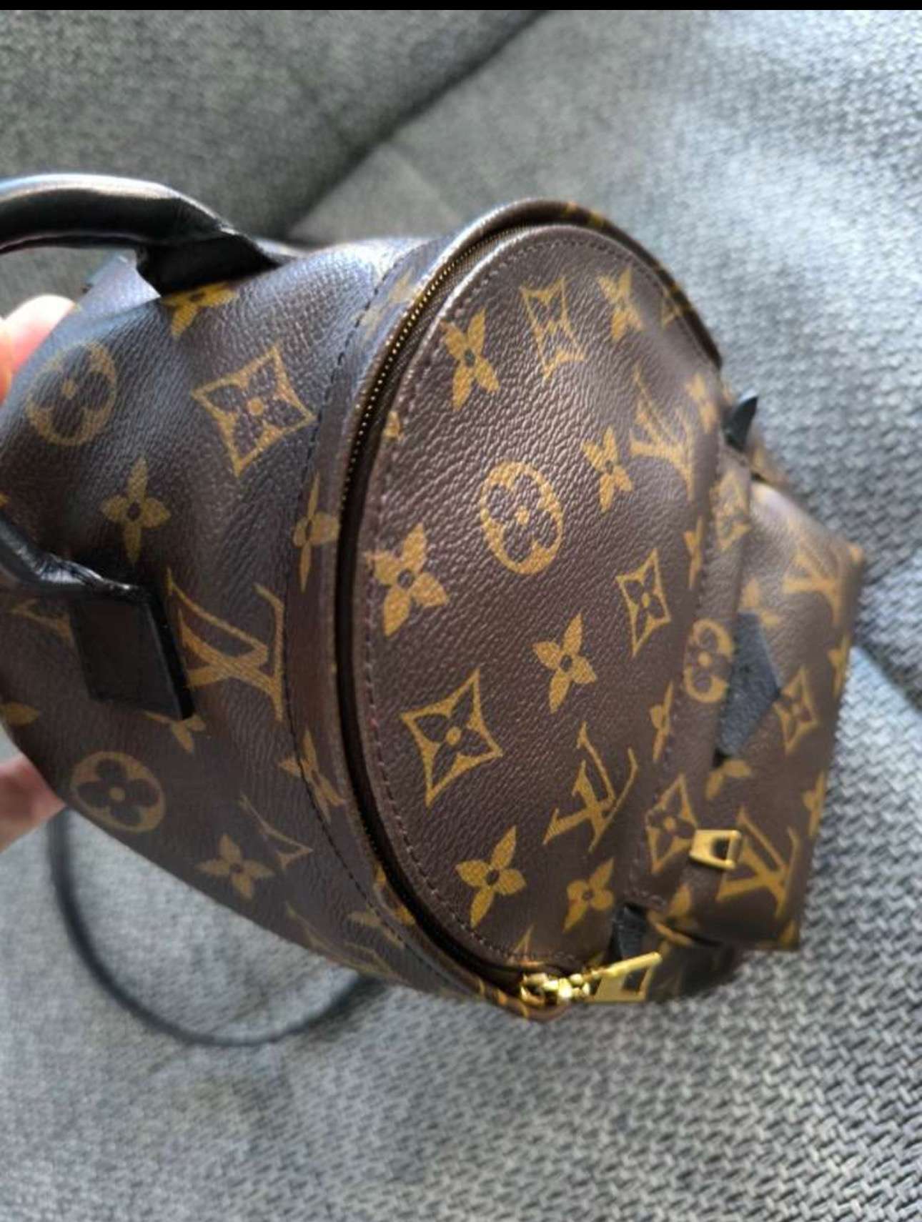 Louis Vuitton Palm Spring Mini