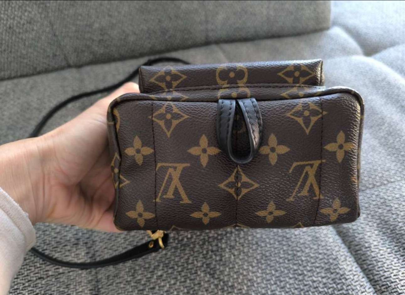 Louis Vuitton Palm Spring Mini