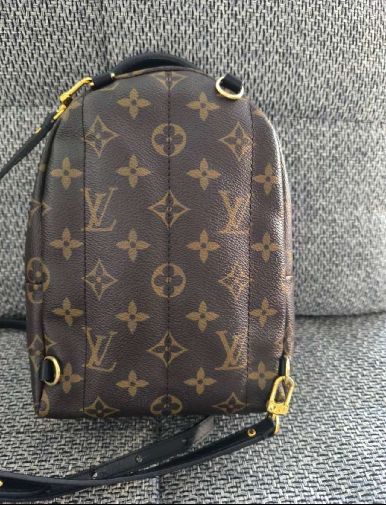 Louis Vuitton Palm Spring Mini