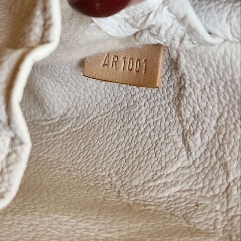 Louis Vuitton Spotini