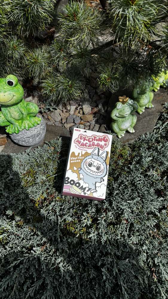 LaBubu Exciting Macaron –  (Blind Box)
