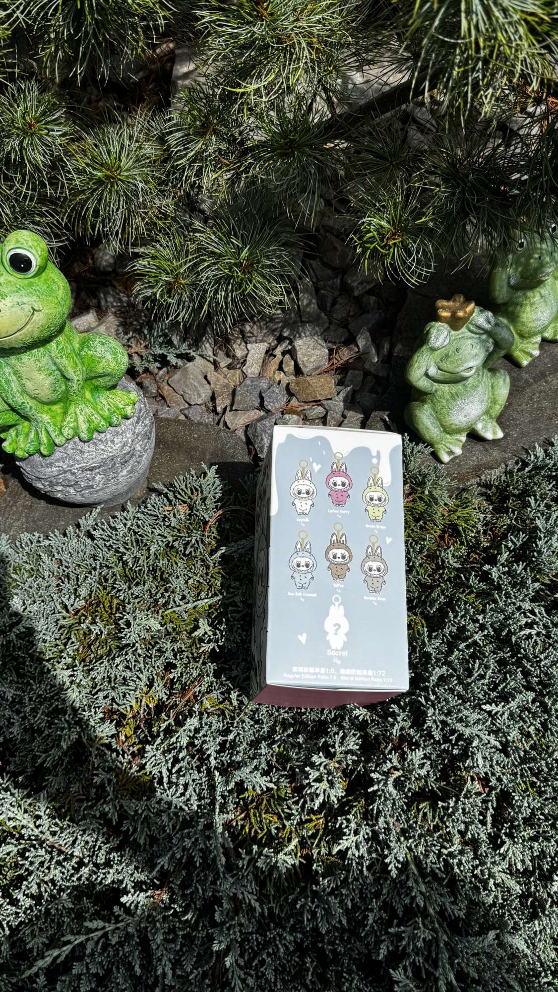 LaBubu Exciting Macaron –  (Blind Box)