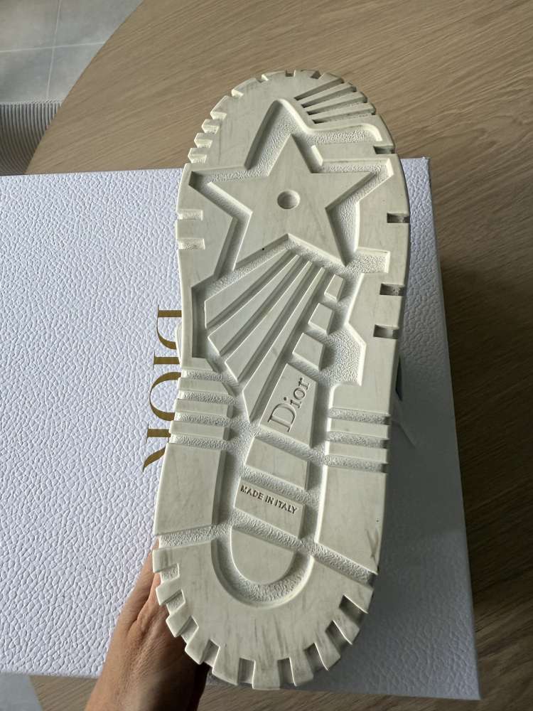 Dior sneaker