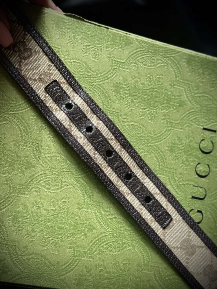 Gucci opasok