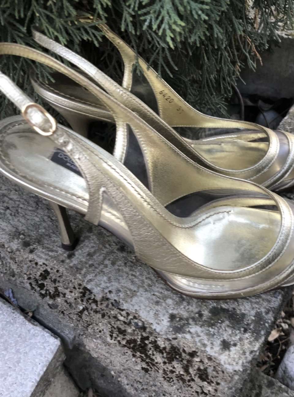 Dolce Gabbana