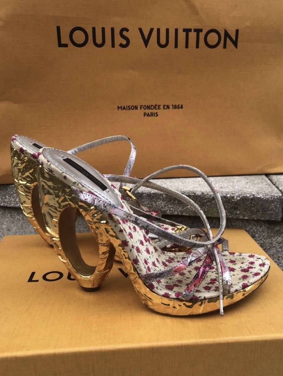 Lv topanky
