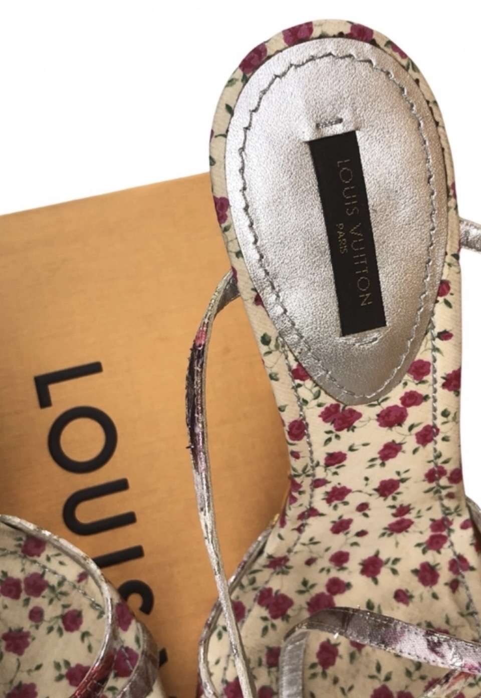 Lv topanky