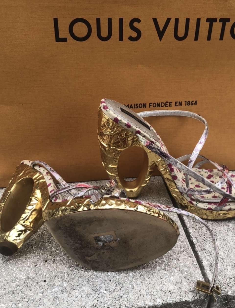 Lv topanky