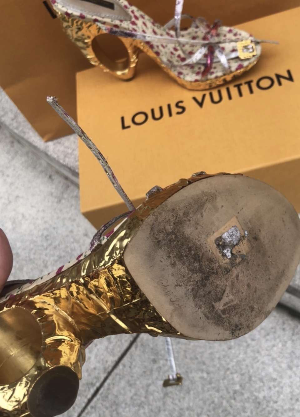 Lv topanky