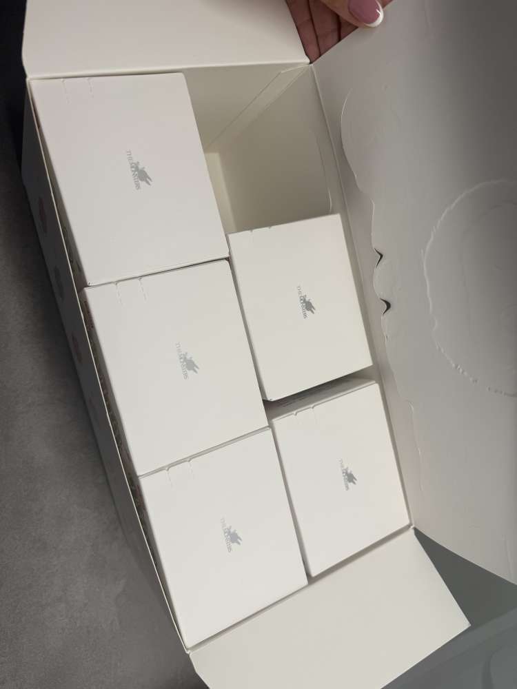 Labubu Big into Energy Popmart