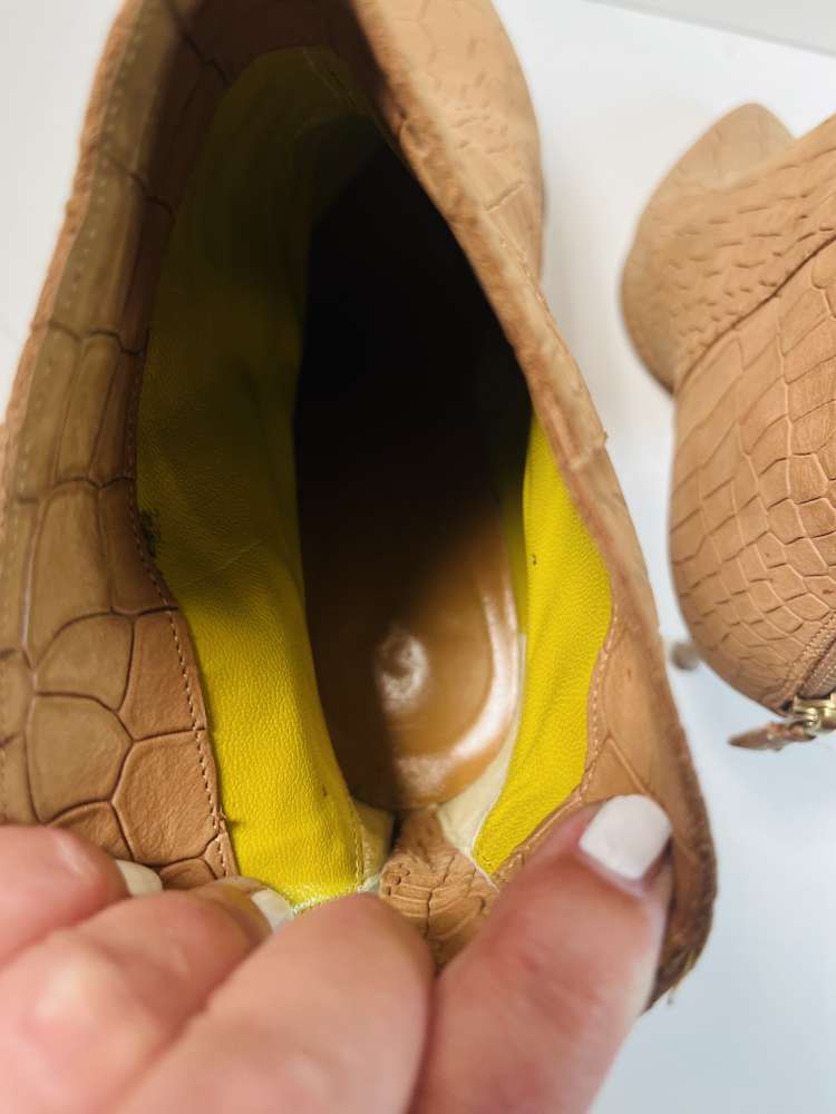 POLLINI