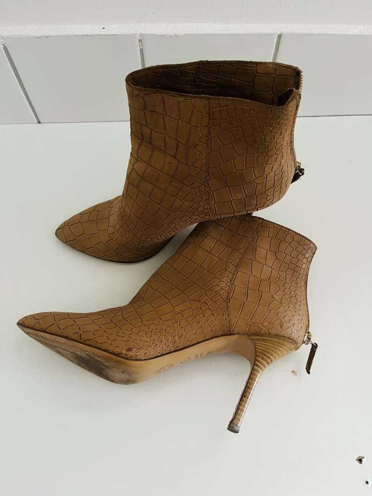 POLLINI