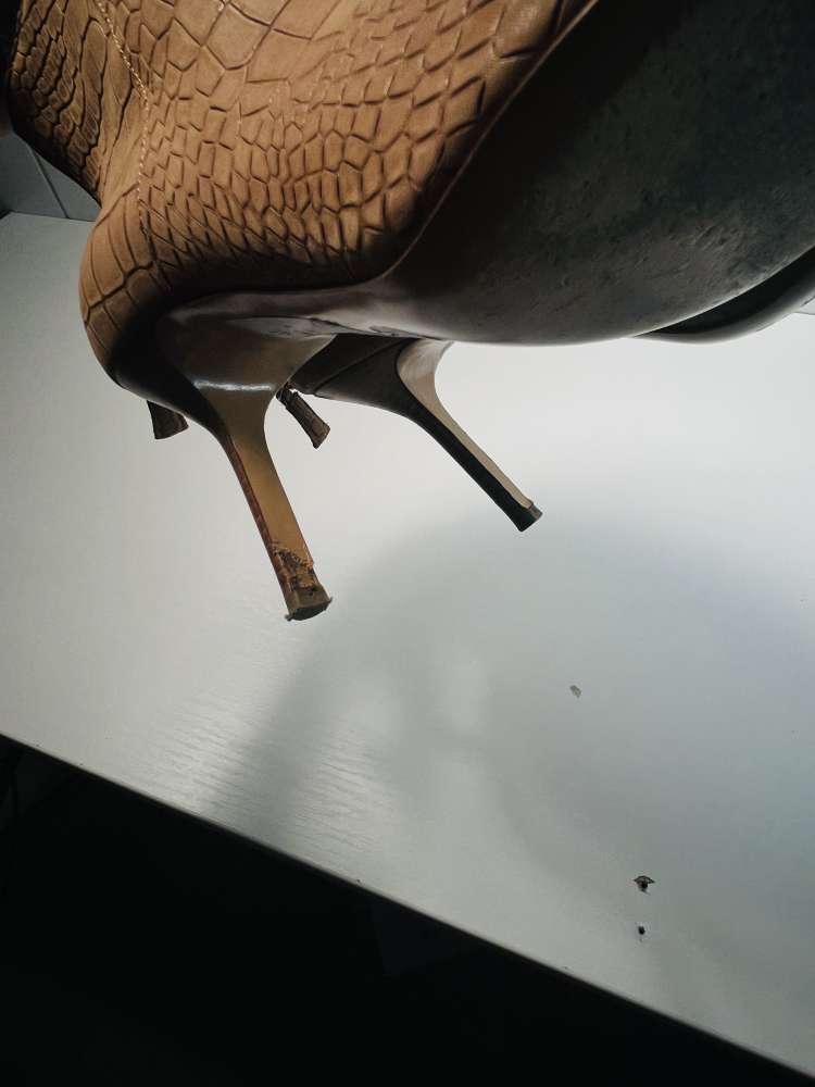 POLLINI