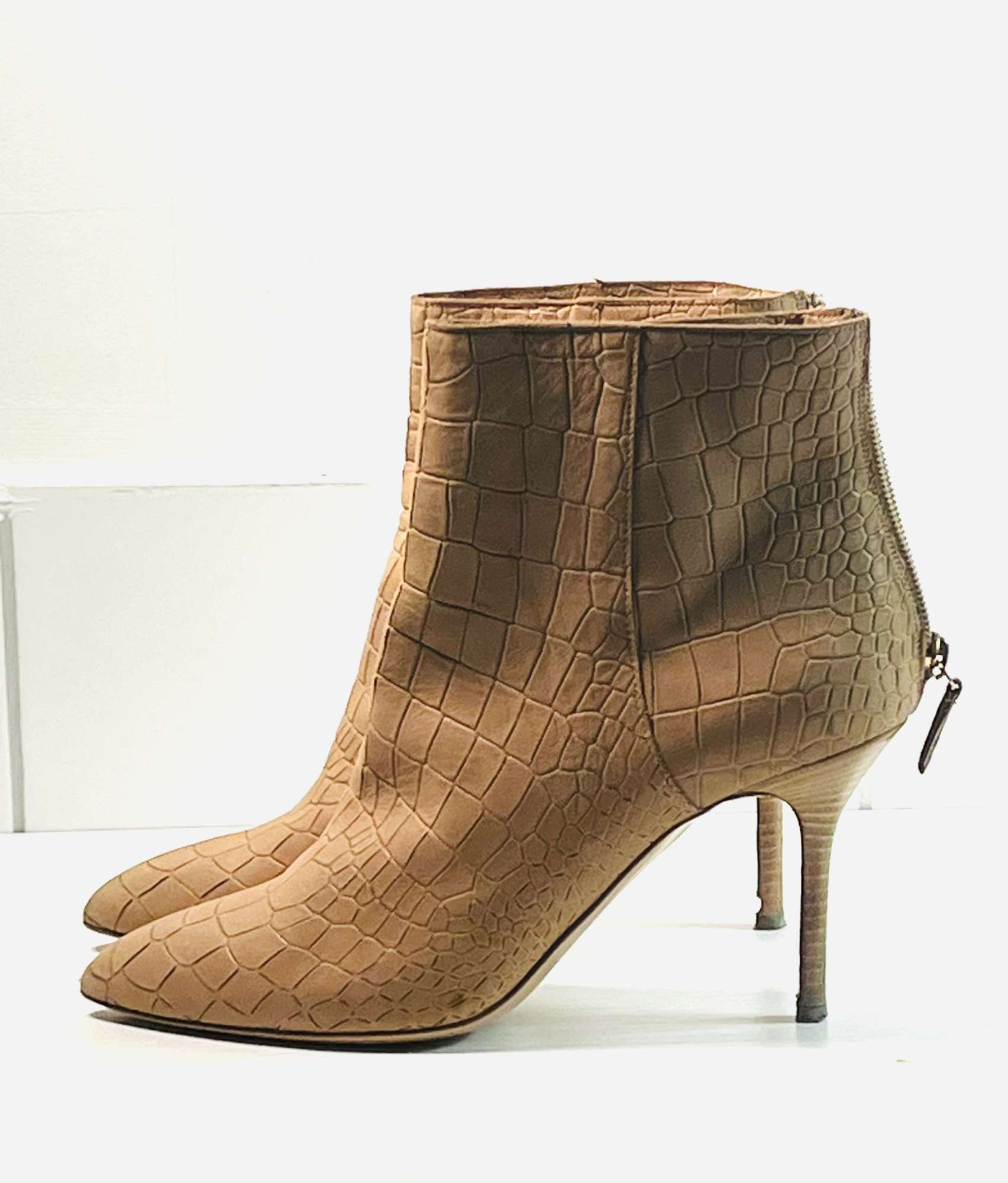 POLLINI