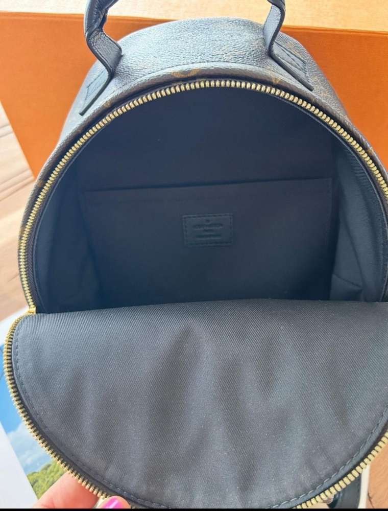 Louis Vuitton palm spring PM