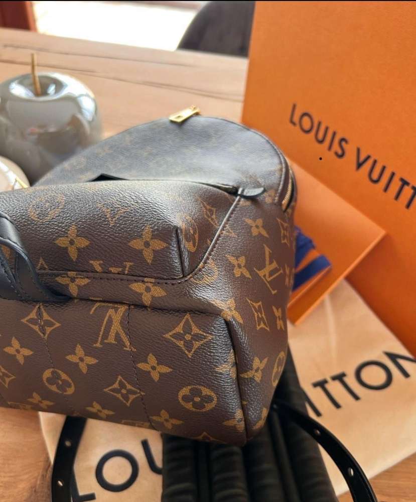 Louis Vuitton palm spring PM