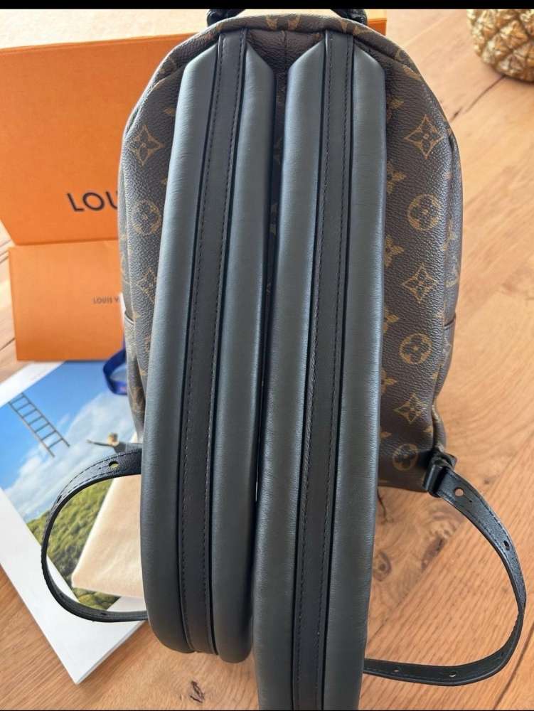 Louis Vuitton palm spring PM