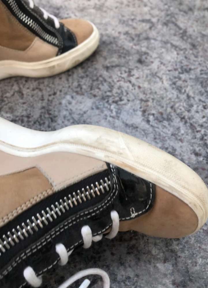 Giuseppe Zanotti