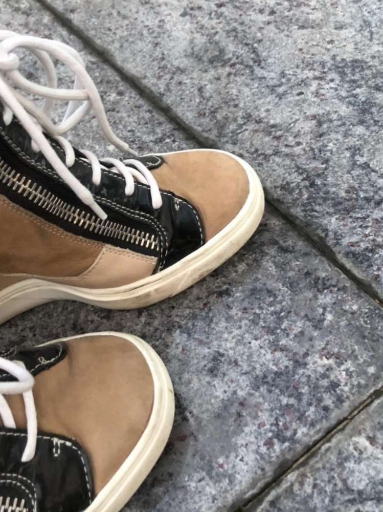 Giuseppe Zanotti