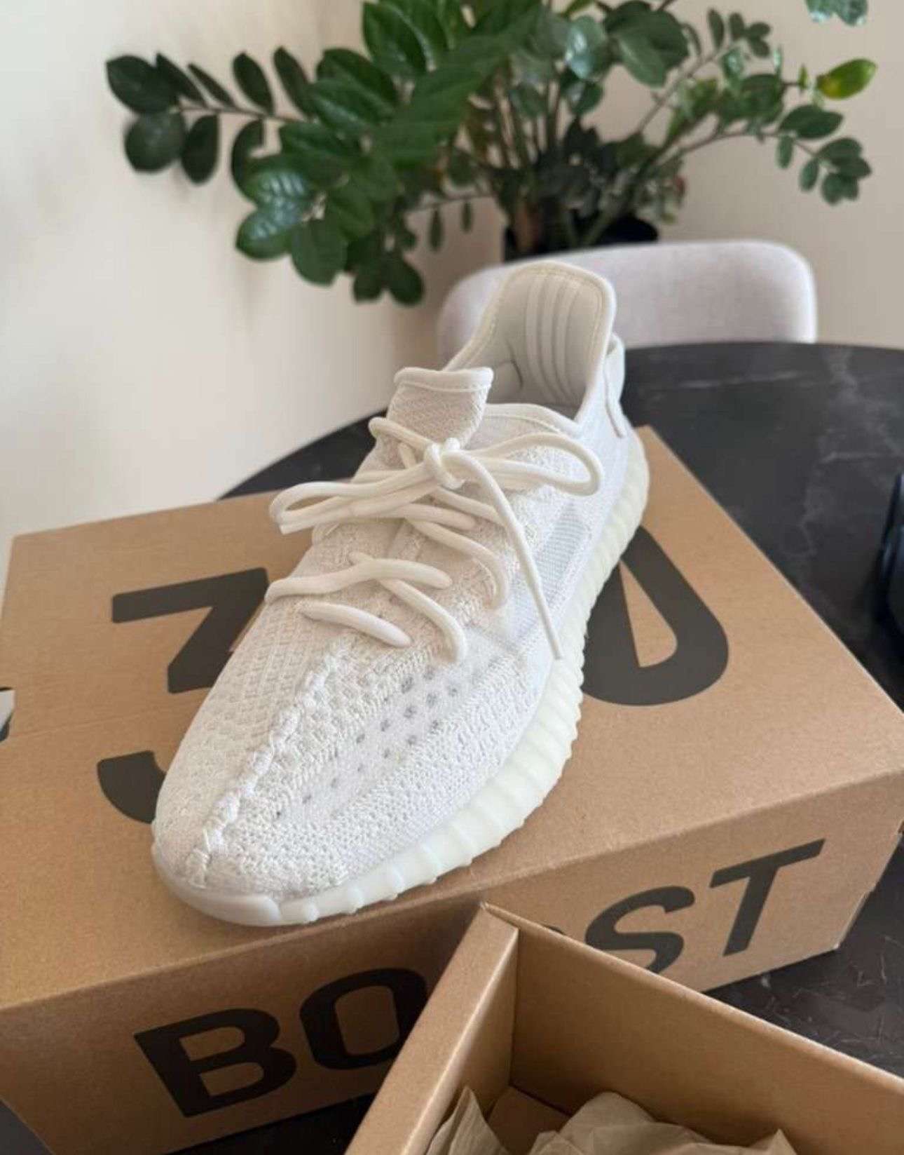 Adidas Yeezy bone 350
