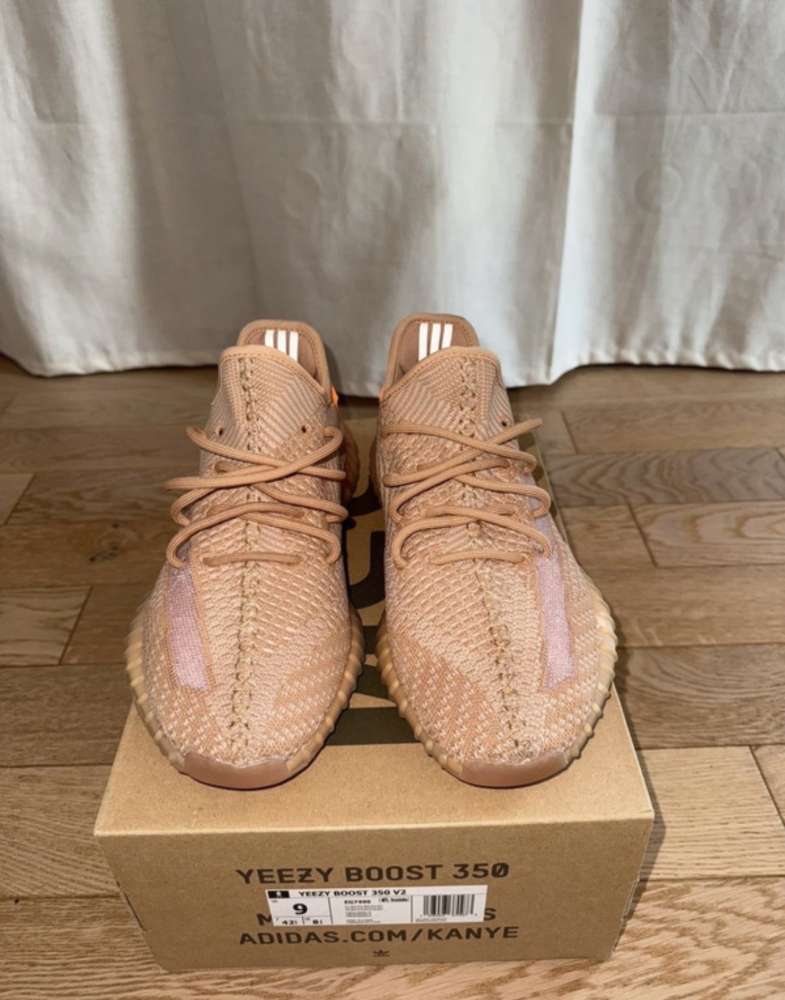 Adidas Yeezy Clay 350