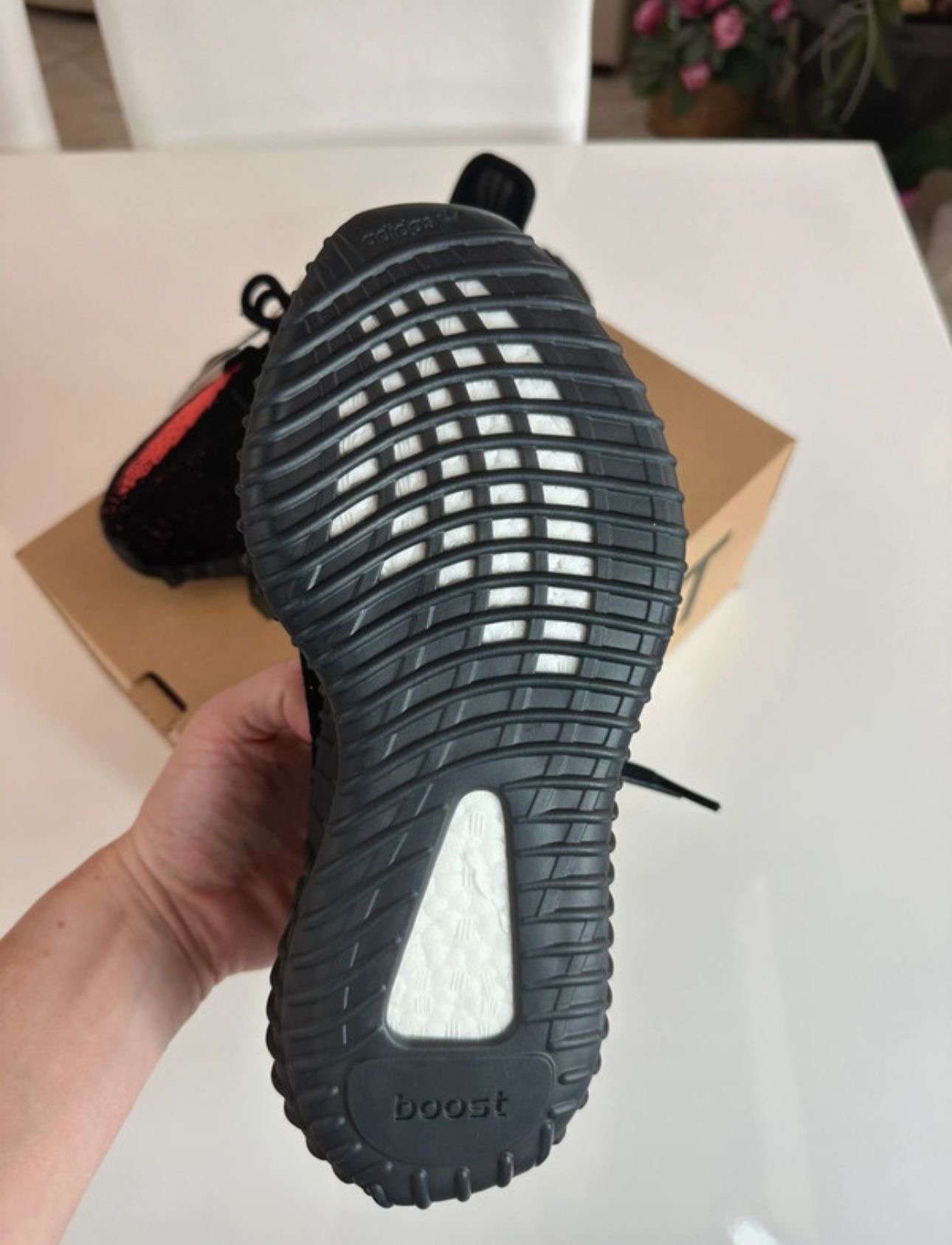 Adidas Yeezy Boost 350