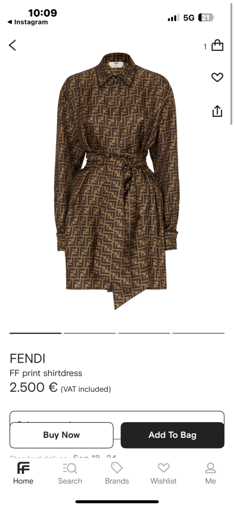 Fendi saty