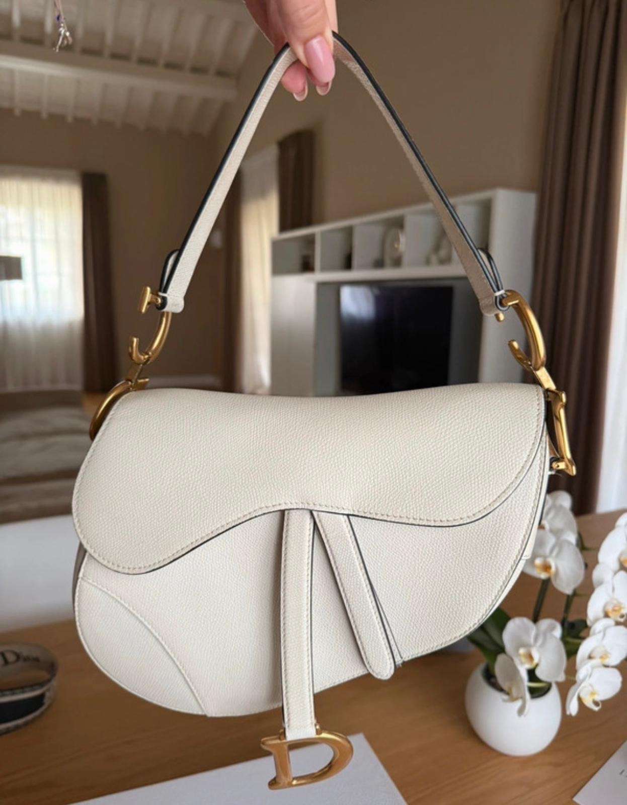 Dior saddle bag