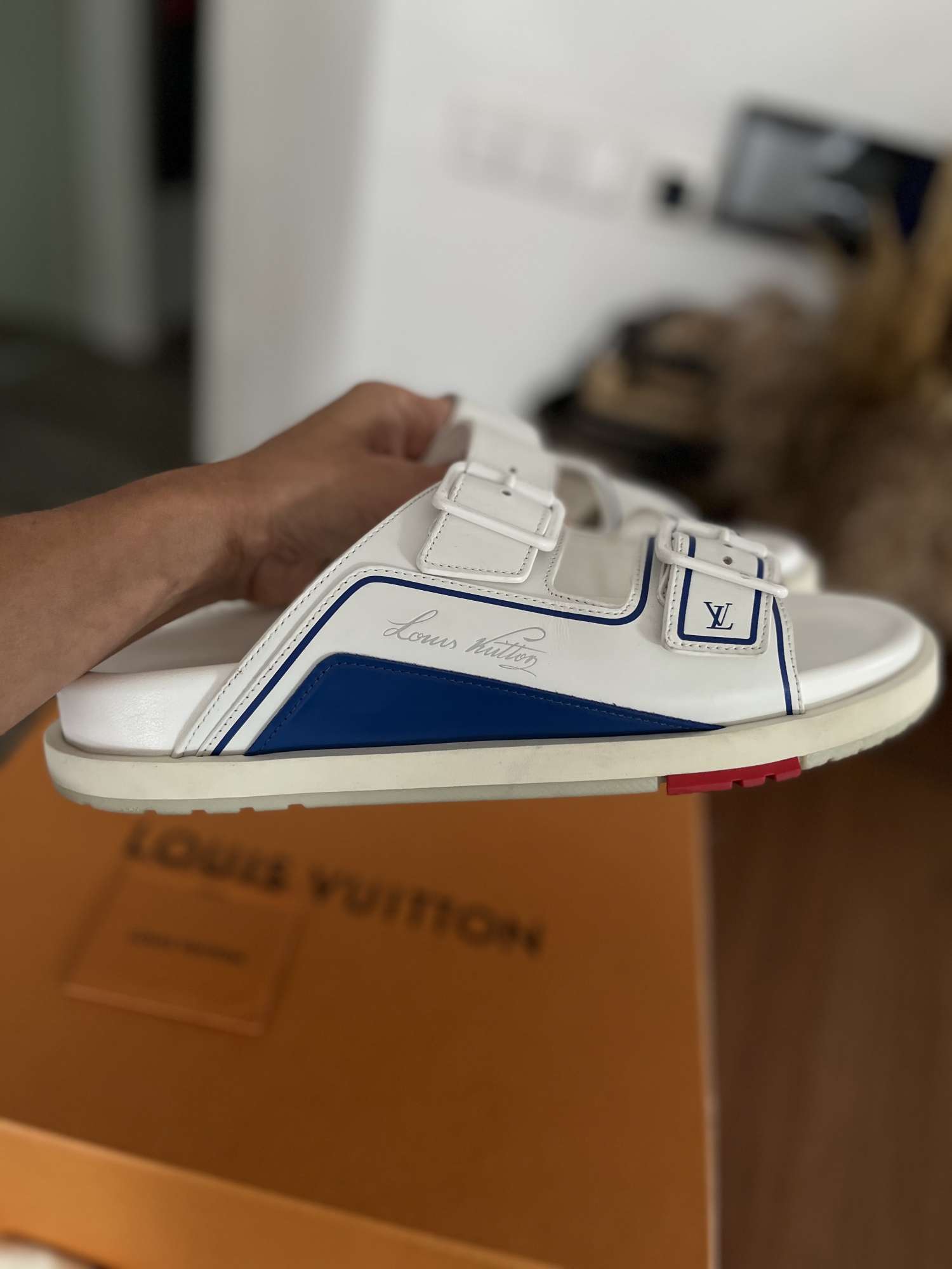 Lv pantofle (nba)