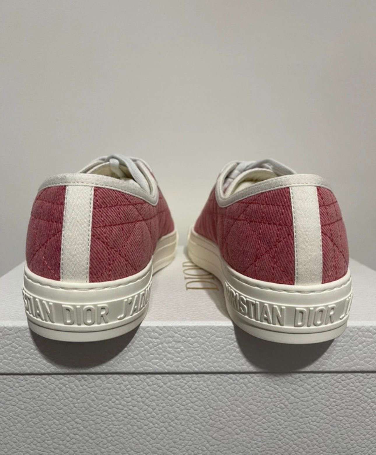 Dior tenisky
