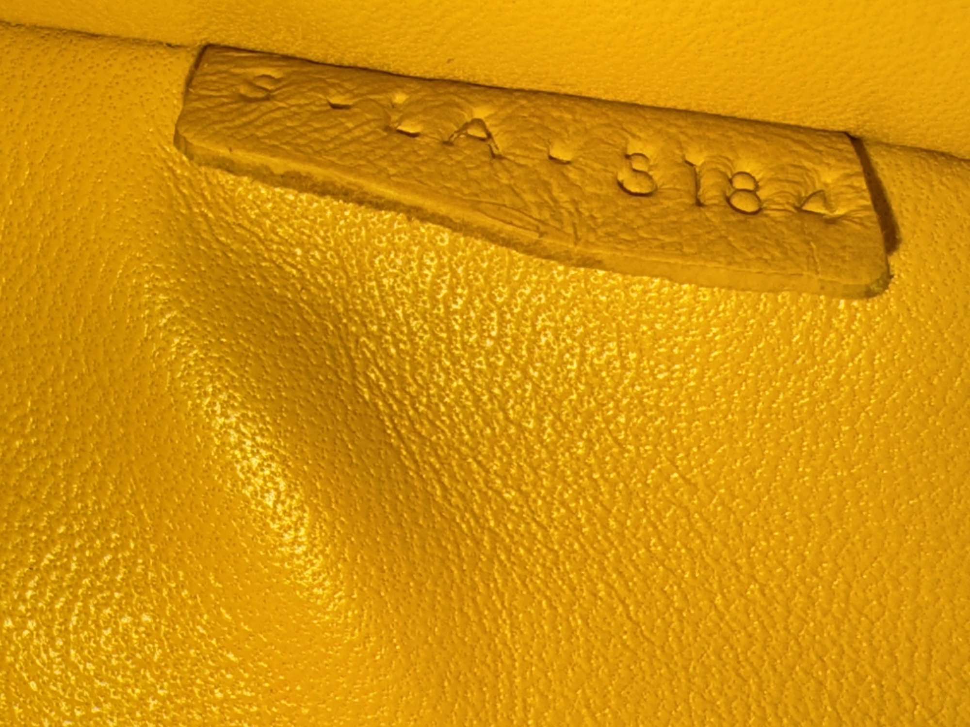 Celine toten bag Python
