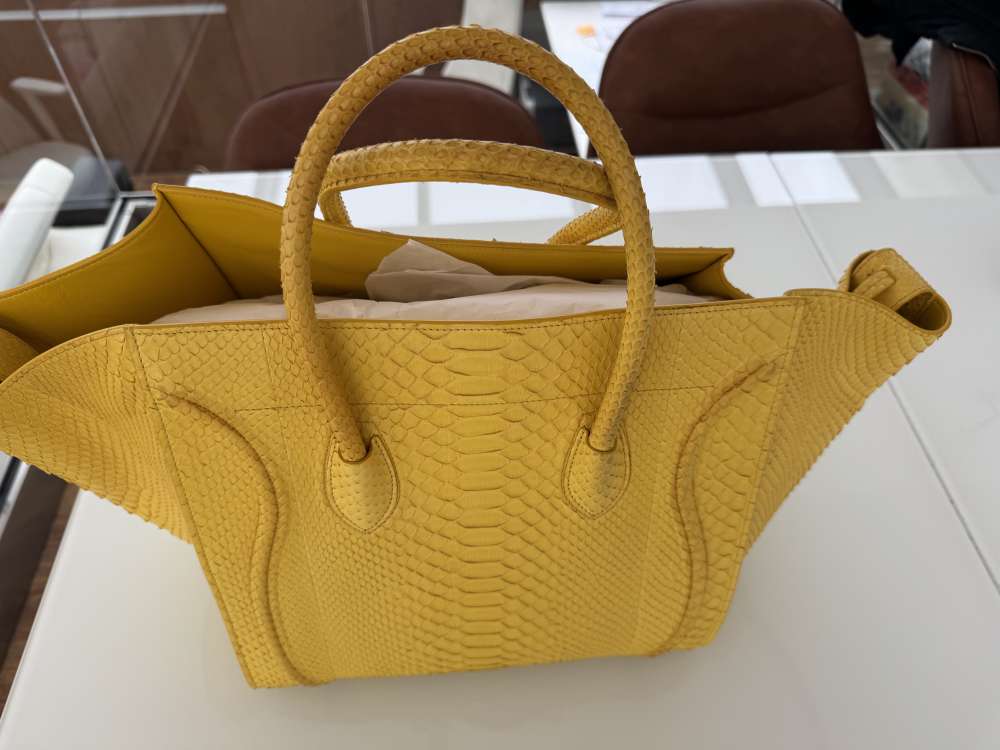 Celine toten bag Python