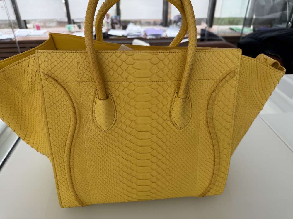 Celine toten bag Python