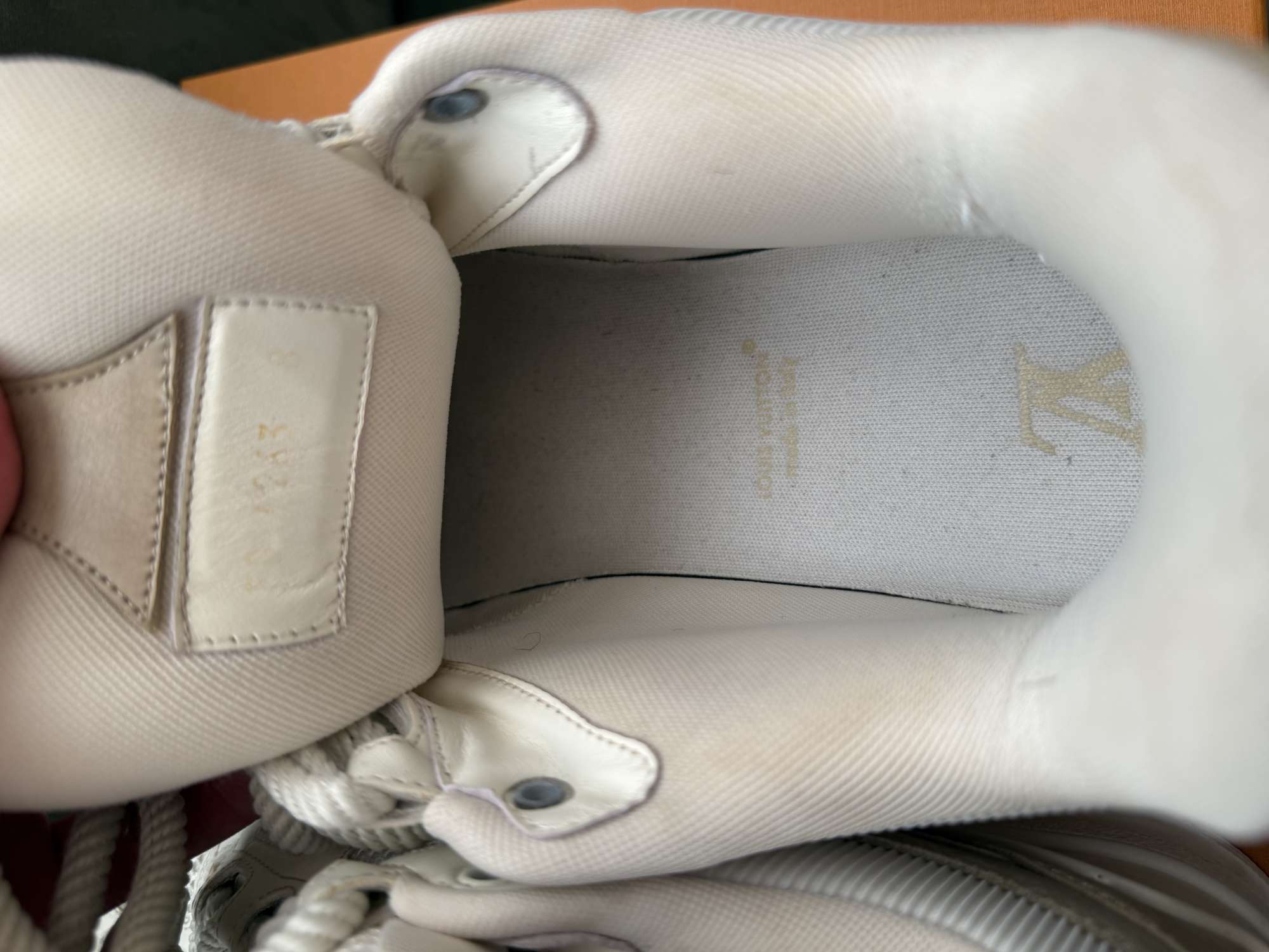 Louis Vuitton skate sneakers