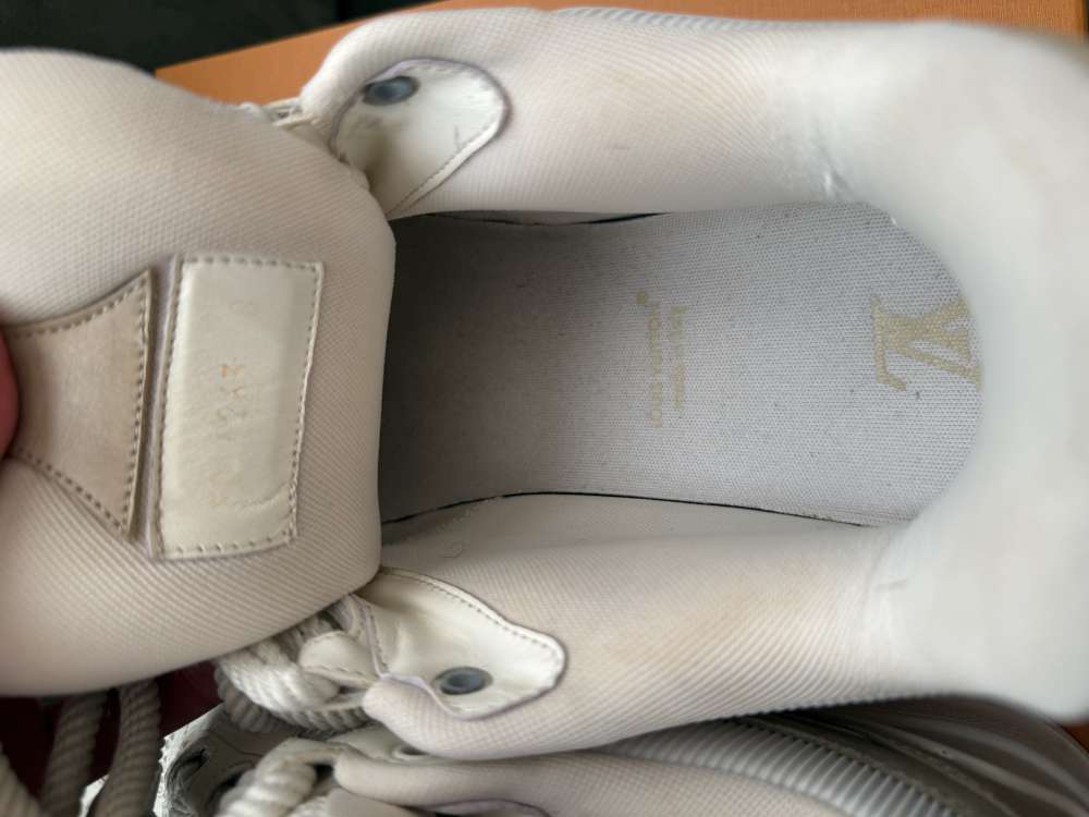 Louis Vuitton skate sneakers