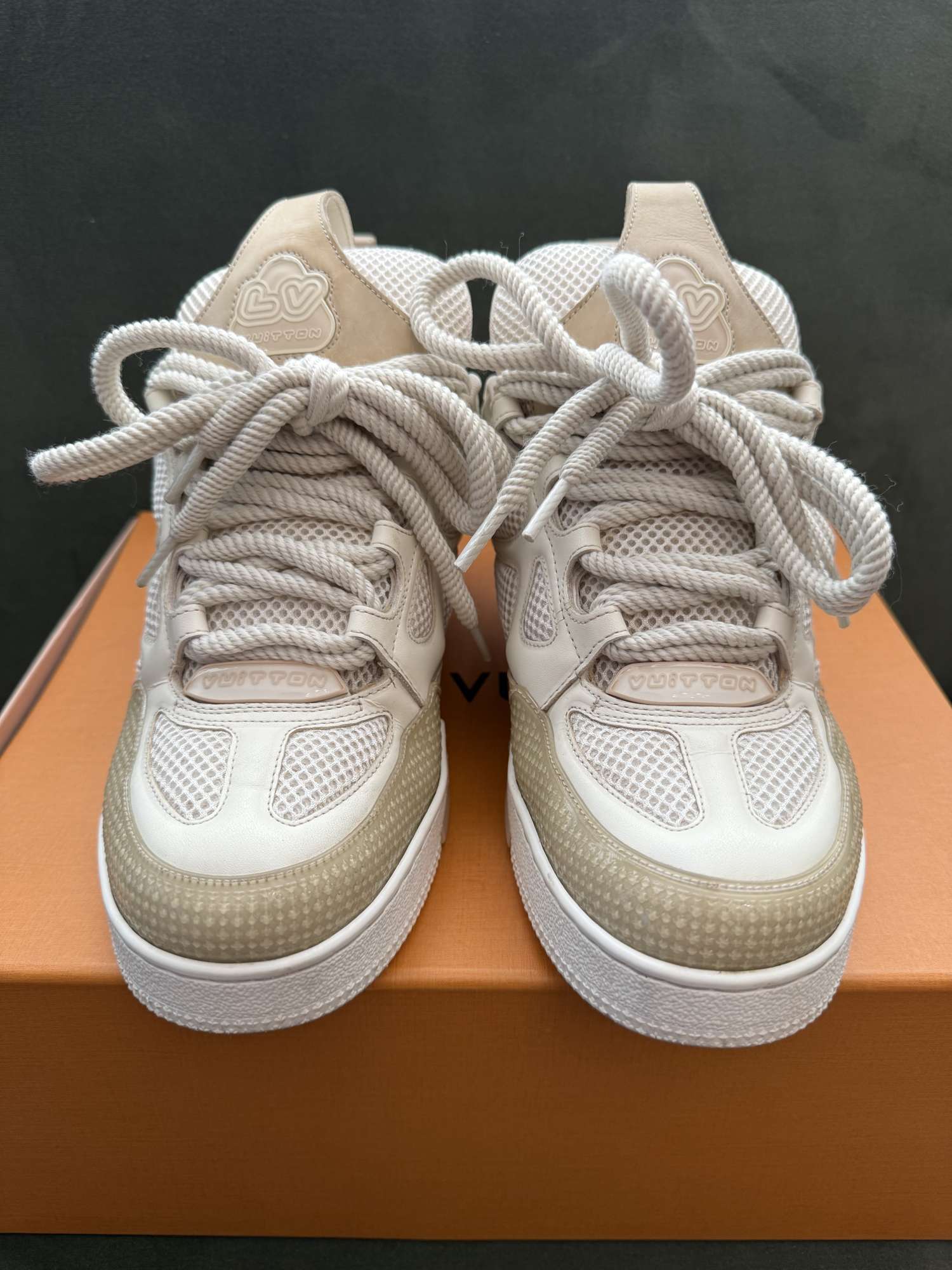 Louis Vuitton skate sneakers
