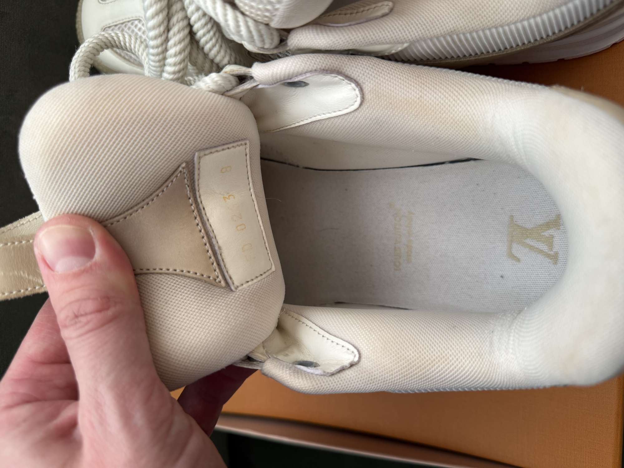 Louis Vuitton skate sneakers