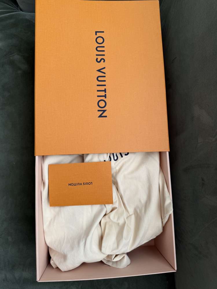 Louis Vuitton skate sneakers