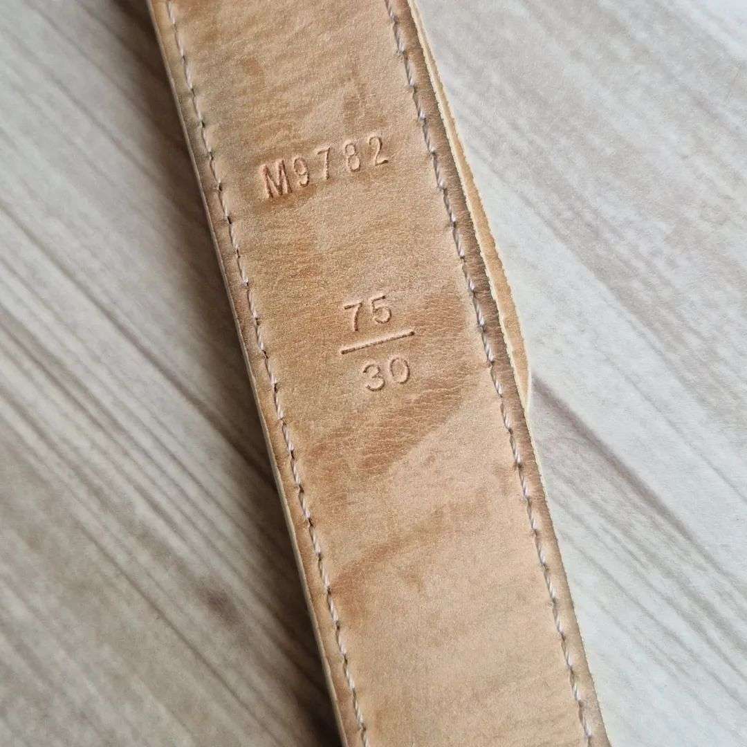 Louis Vuitton Pasek