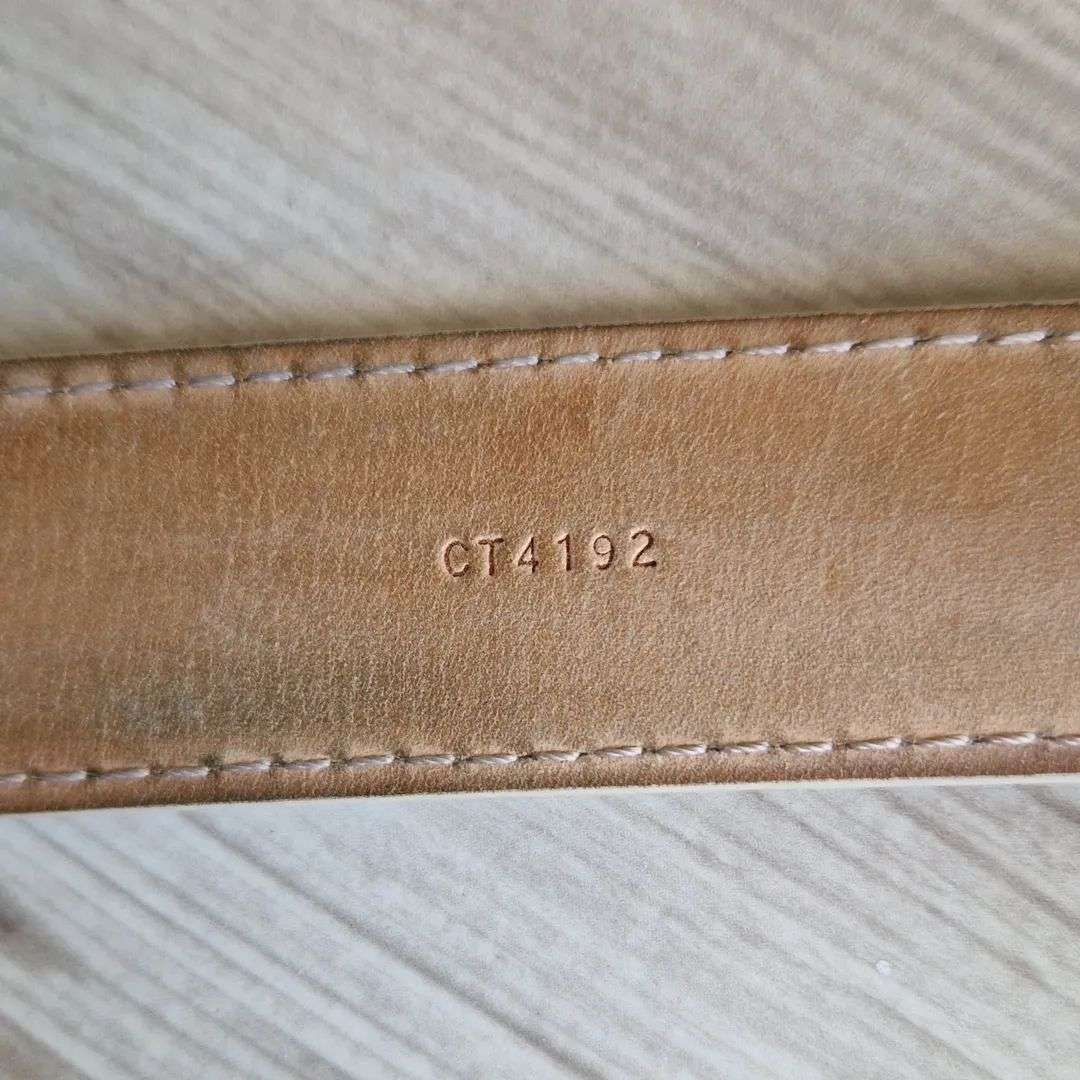 Louis Vuitton Pasek