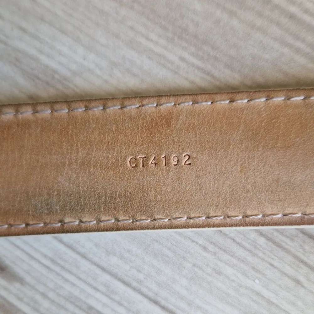 Louis Vuitton Pasek