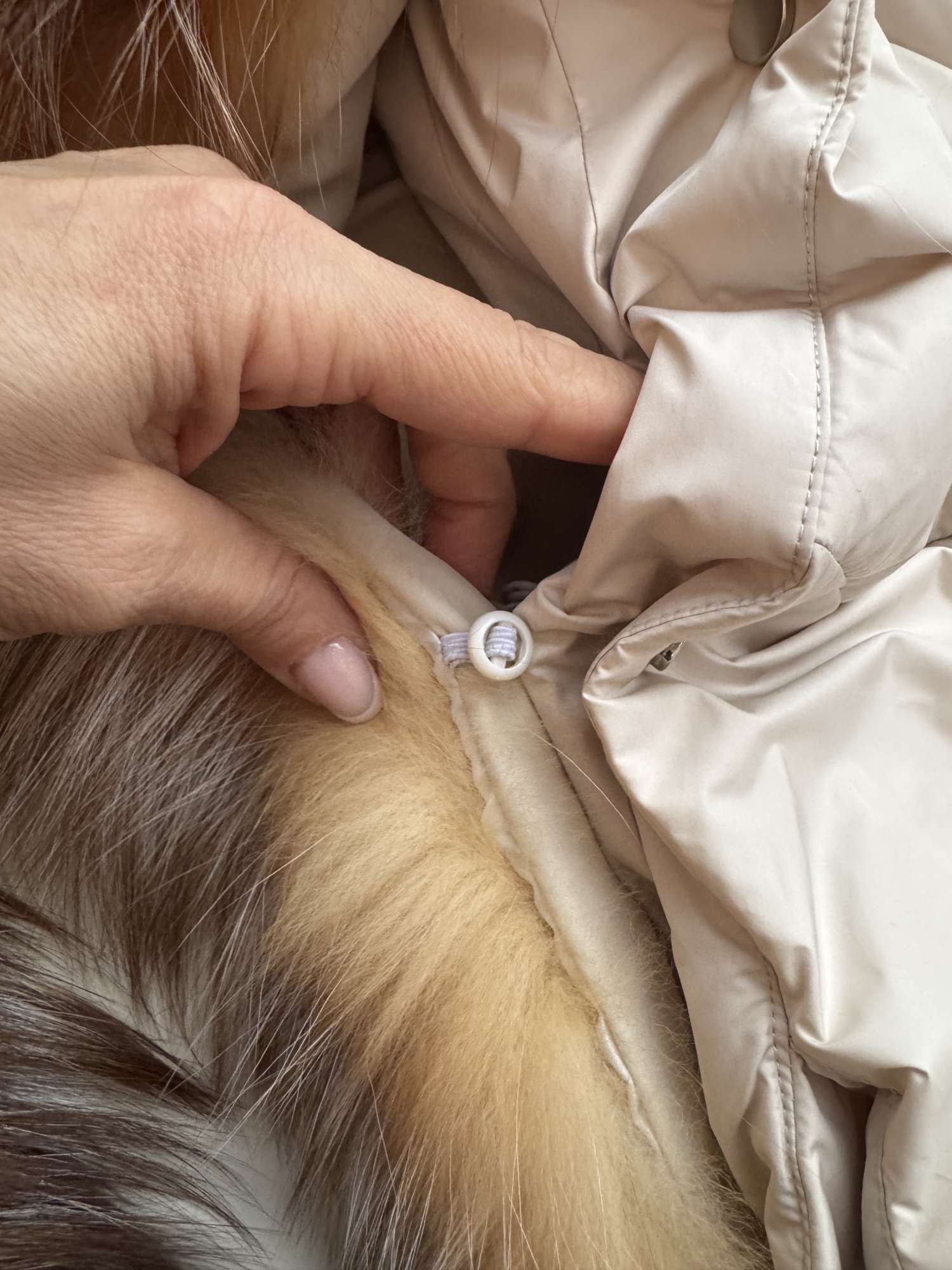 Paperova bunda s liškou