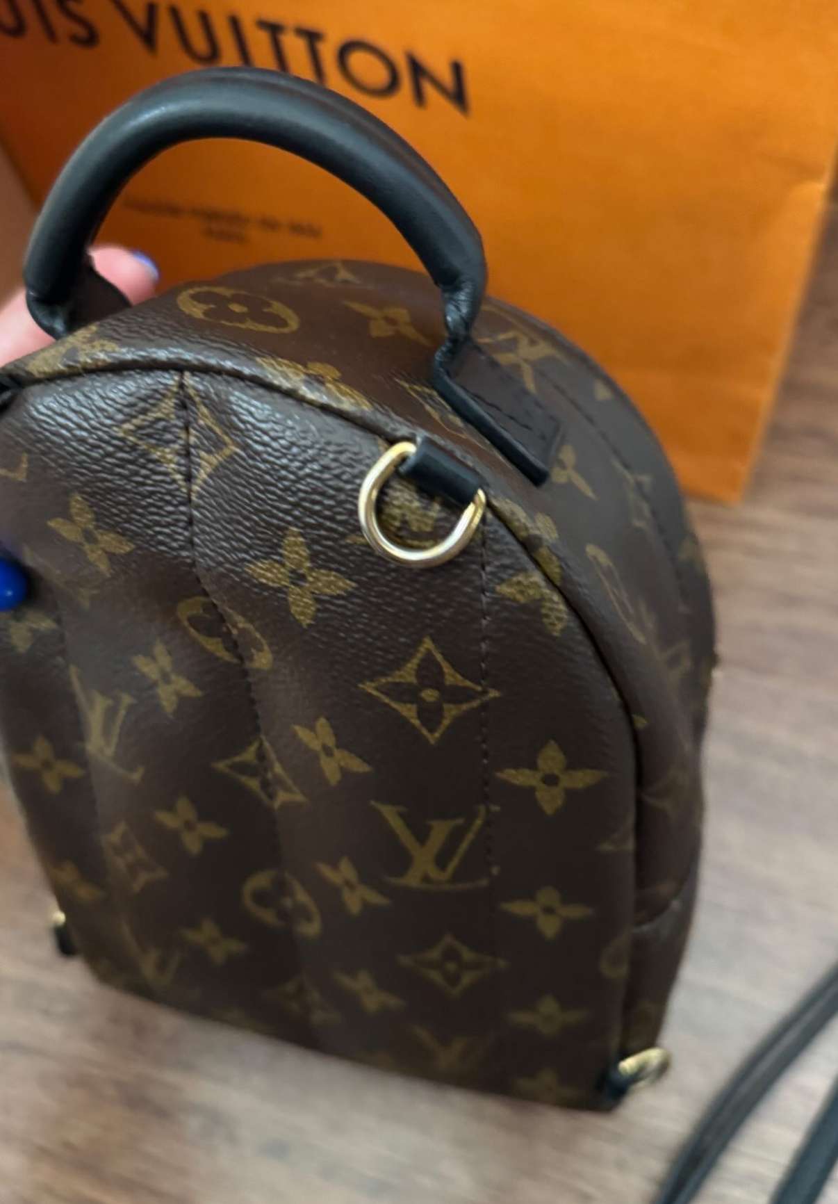 LV Monogram Mini Palm Springs backpack