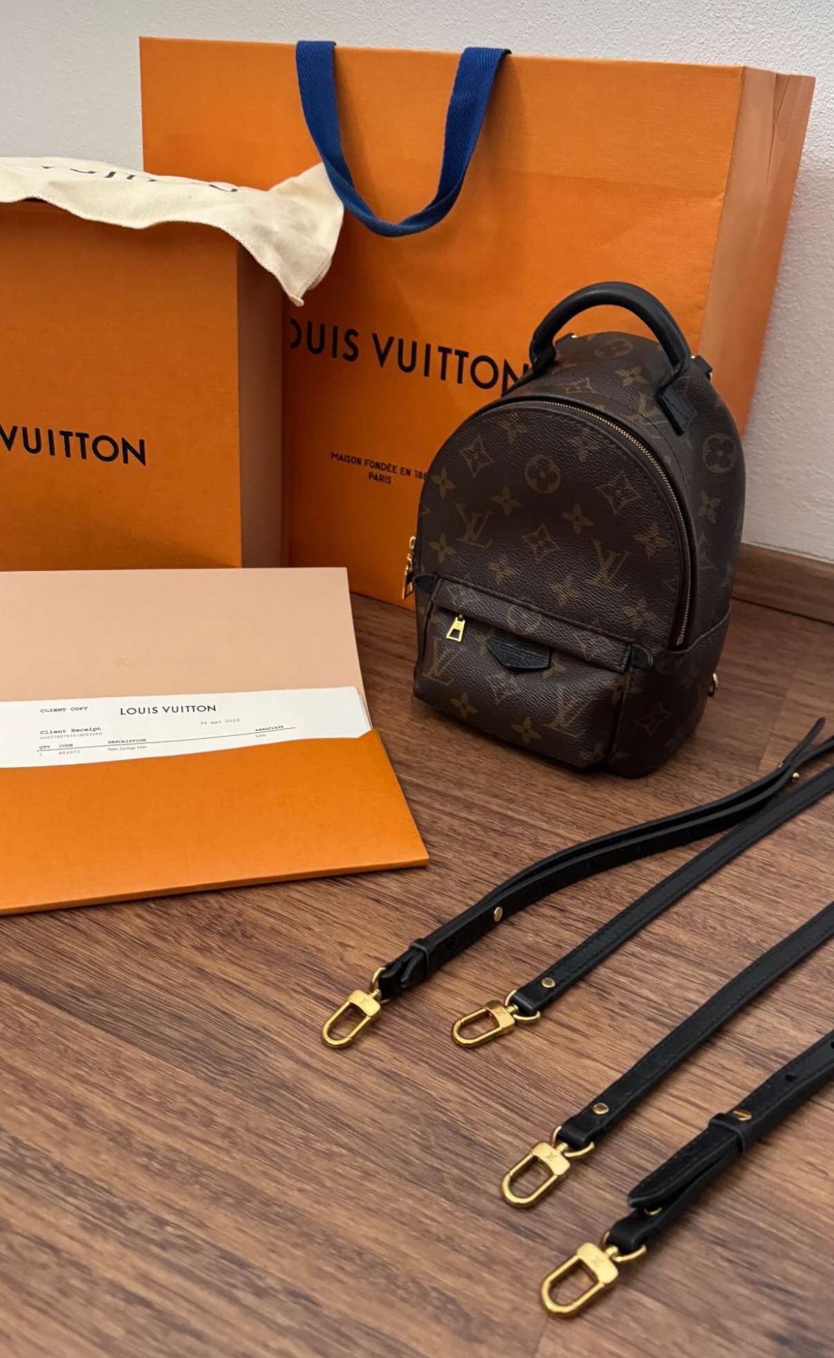 LV Monogram Mini Palm Springs backpack