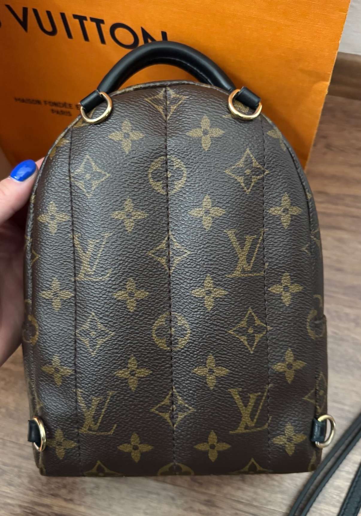 LV Monogram Mini Palm Springs backpack