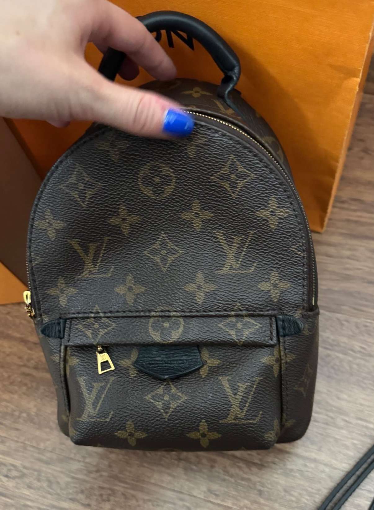 LV Monogram Mini Palm Springs backpack