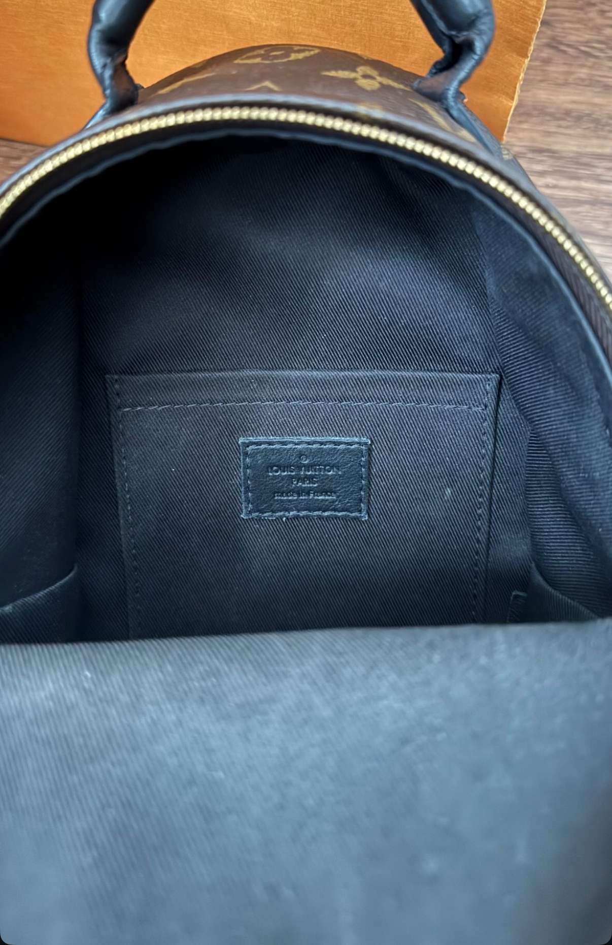 LV Monogram Mini Palm Springs backpack