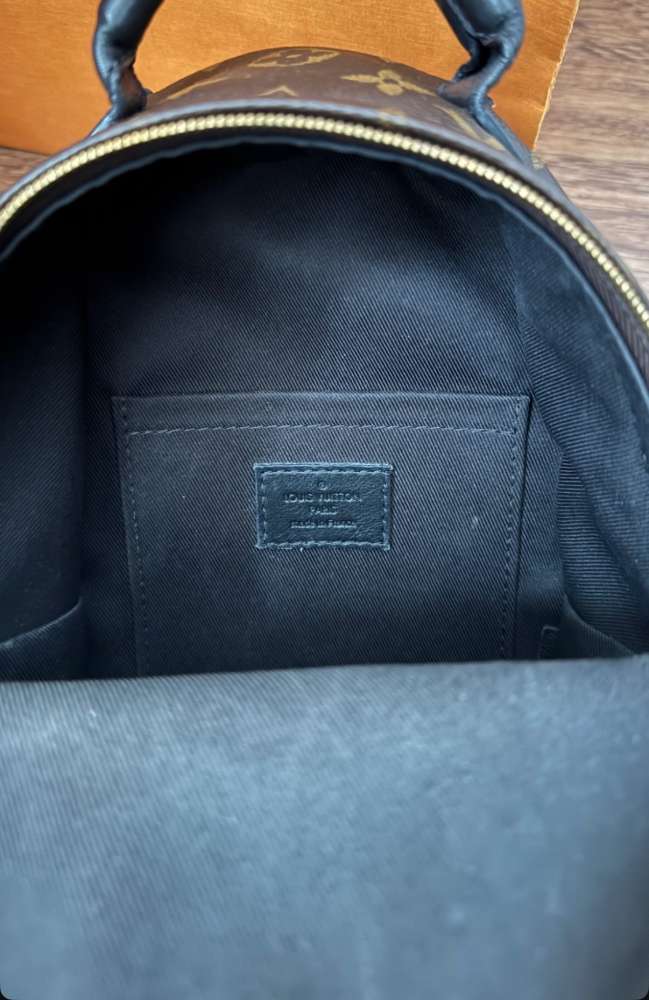 LV Monogram Mini Palm Springs backpack