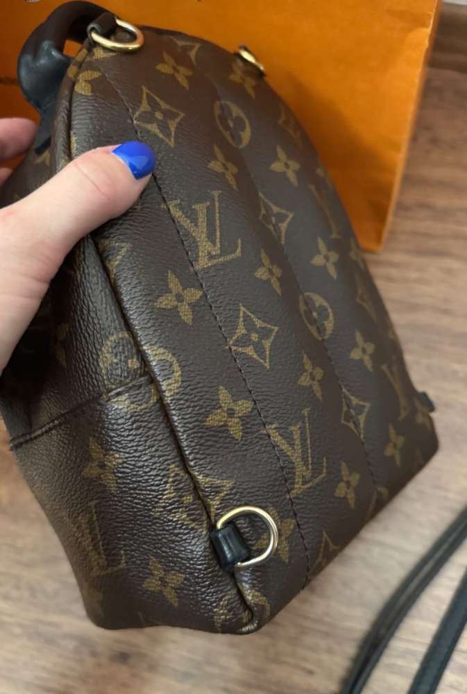 LV Monogram Mini Palm Springs backpack